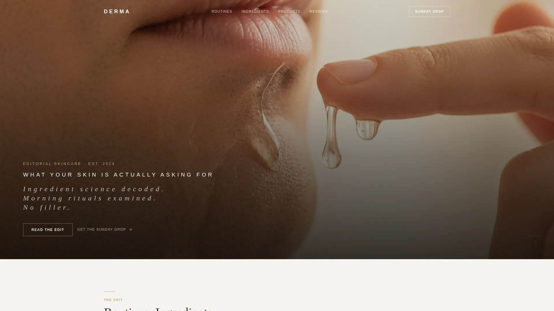 Luxe Grooming | Free Website Template | Rocket