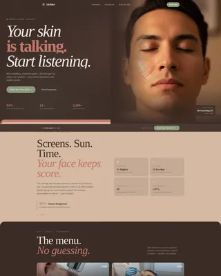 Premium Skin | Free Website Template | Rocket