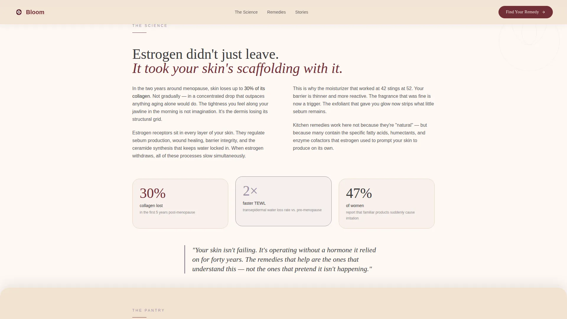Intimate Menopausal | Free Website Template | Rocket