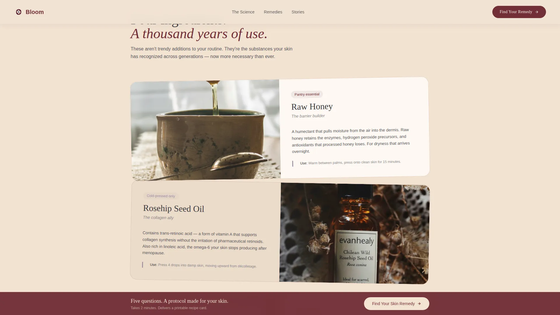 Intimate Menopausal | Free Website Template | Rocket