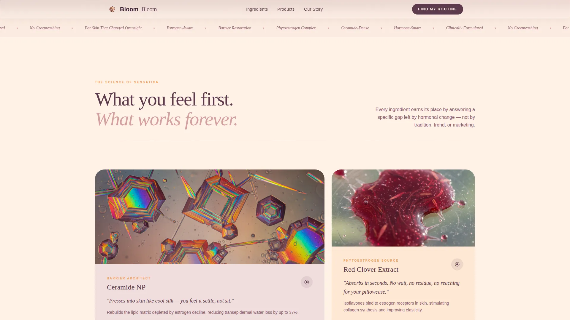 Luxe Menopausal | Free Website Template | Rocket