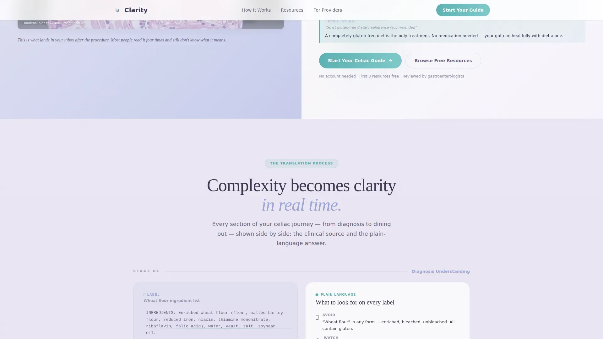 Celiac Disease Care Education Website Template