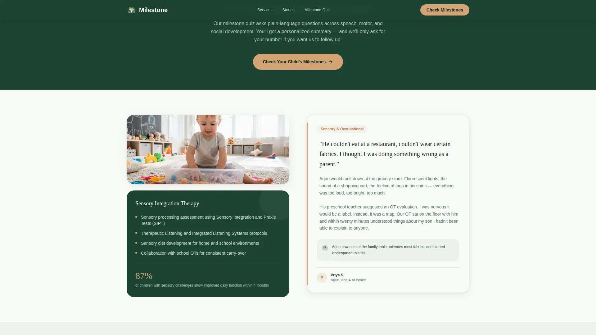 Pediatric & Child Health Reviews Website Template