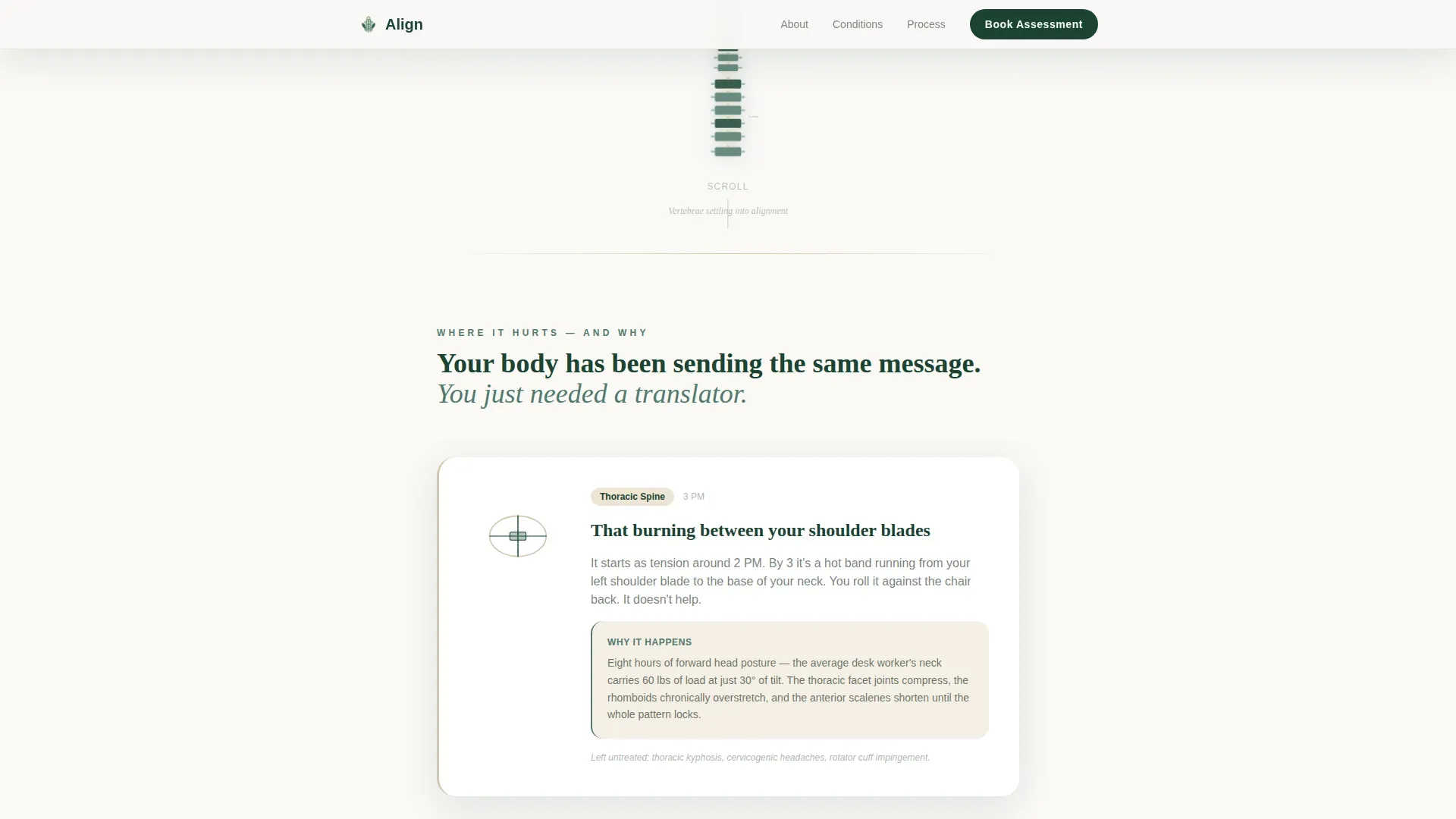Chiropractor Appointment Booking Website Template