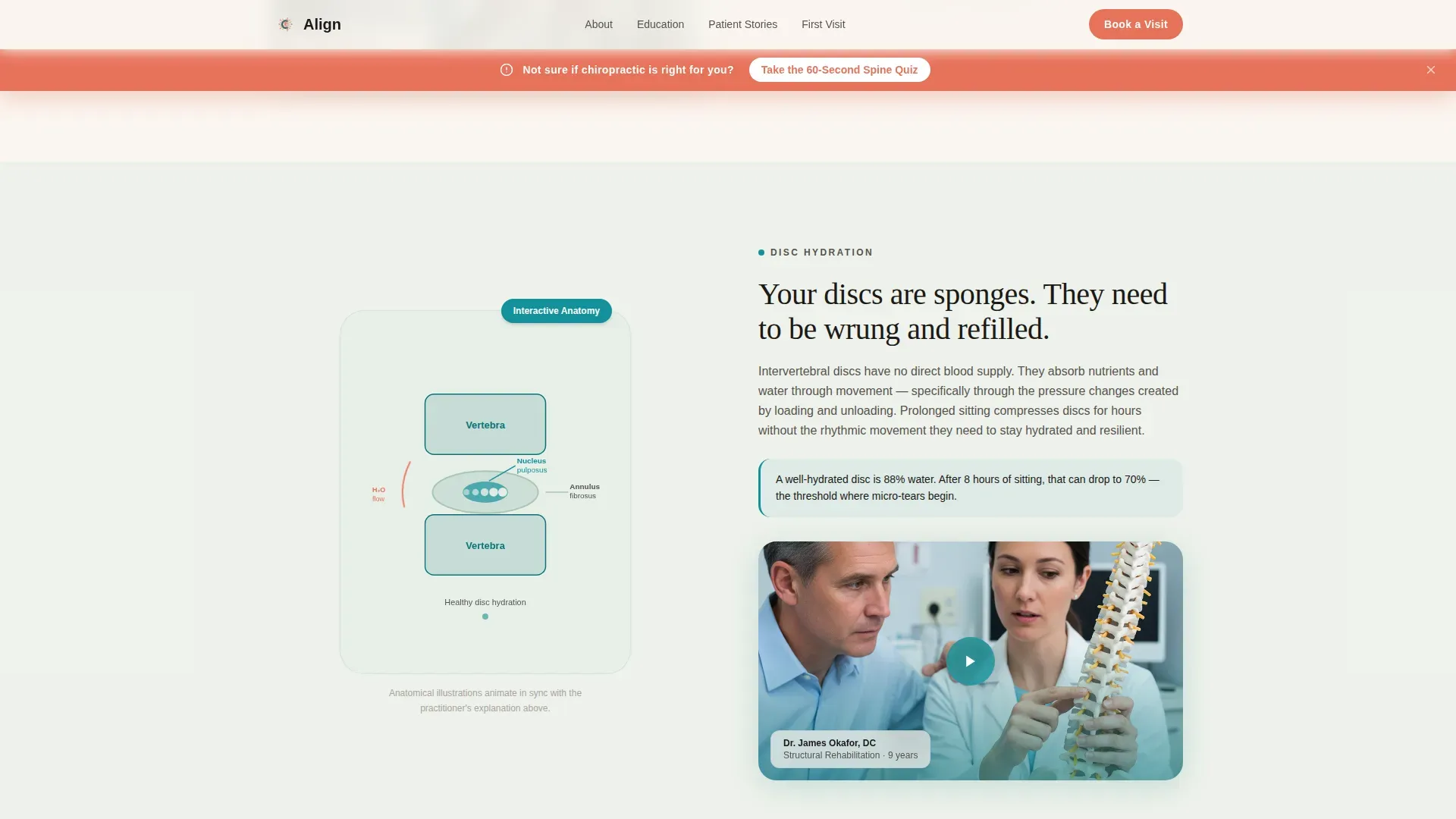 Chiropractic Patient Education Website for New Patients