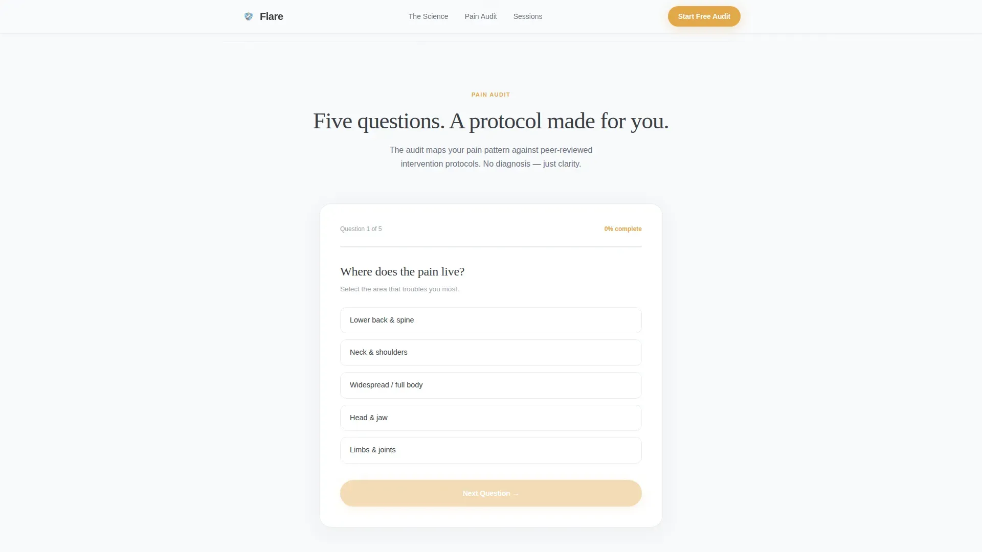 Chronic Pain Care Education Website Template