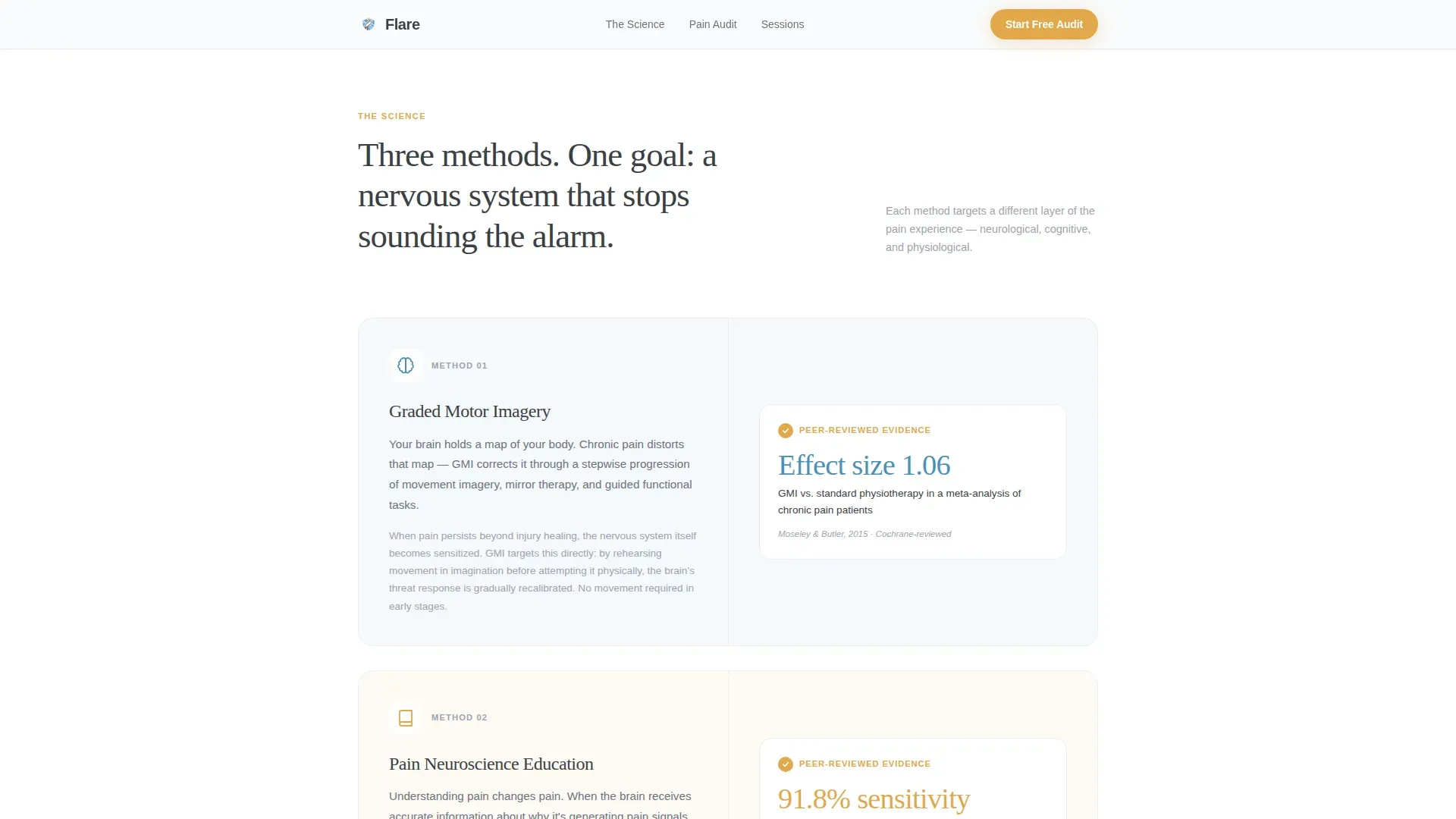 Chronic Pain Care Education Website Template