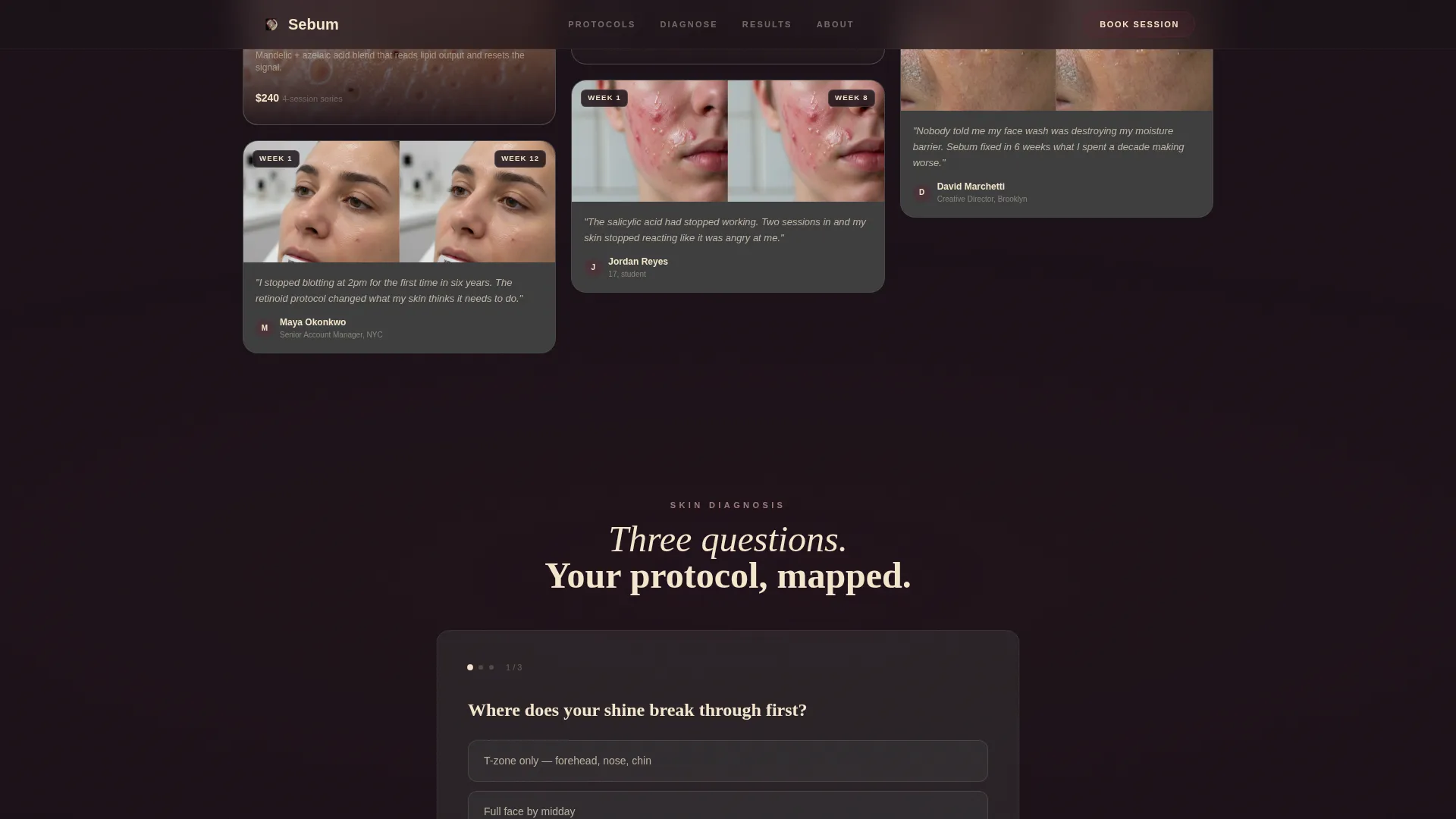Oily Skin Beauty Booking Website Template