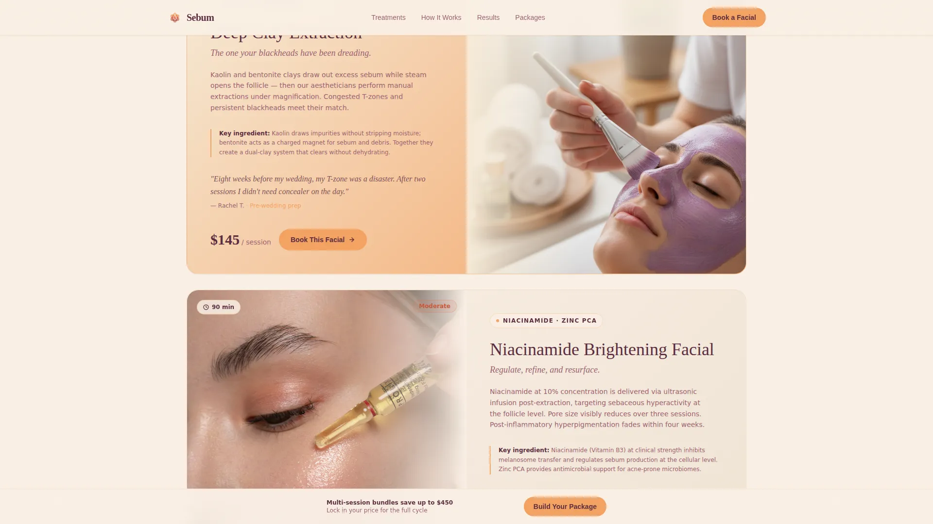 Oily Skin Beauty Specialist Booking Website Template