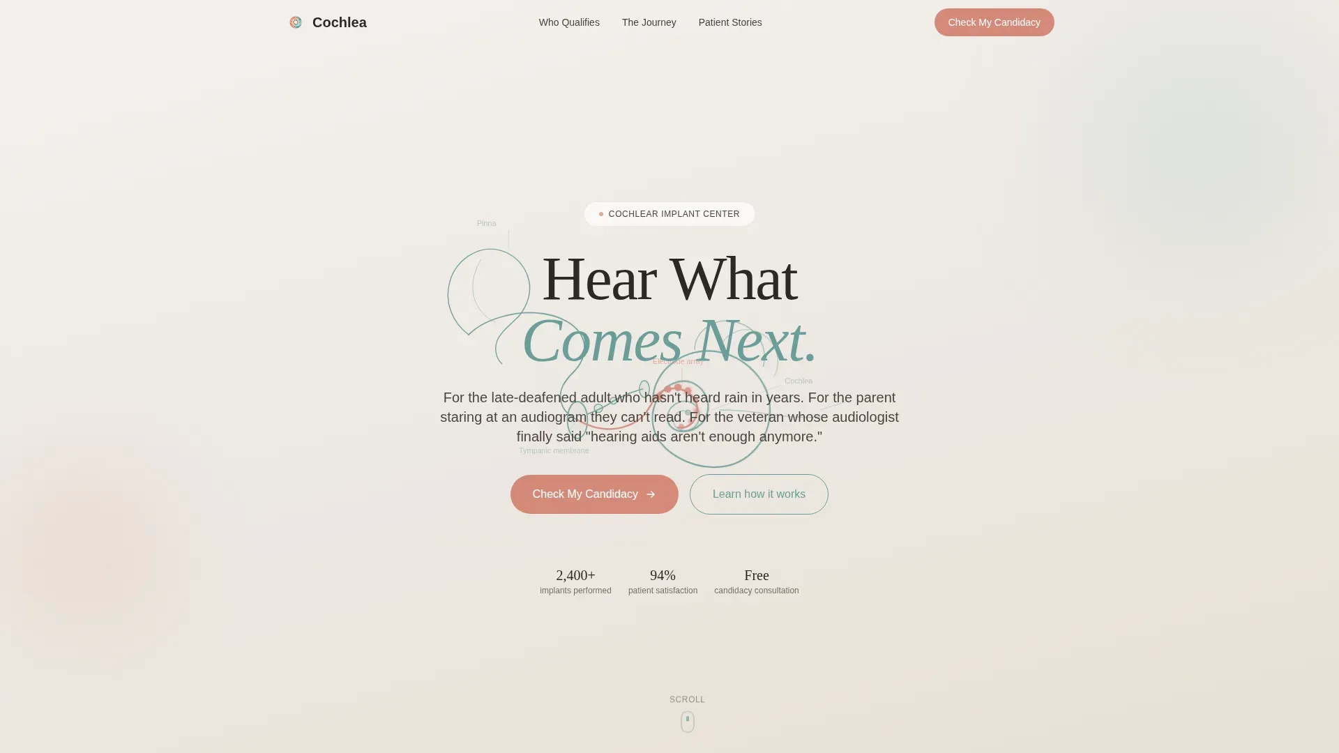 Hearing & Audiology Reviews Website Template