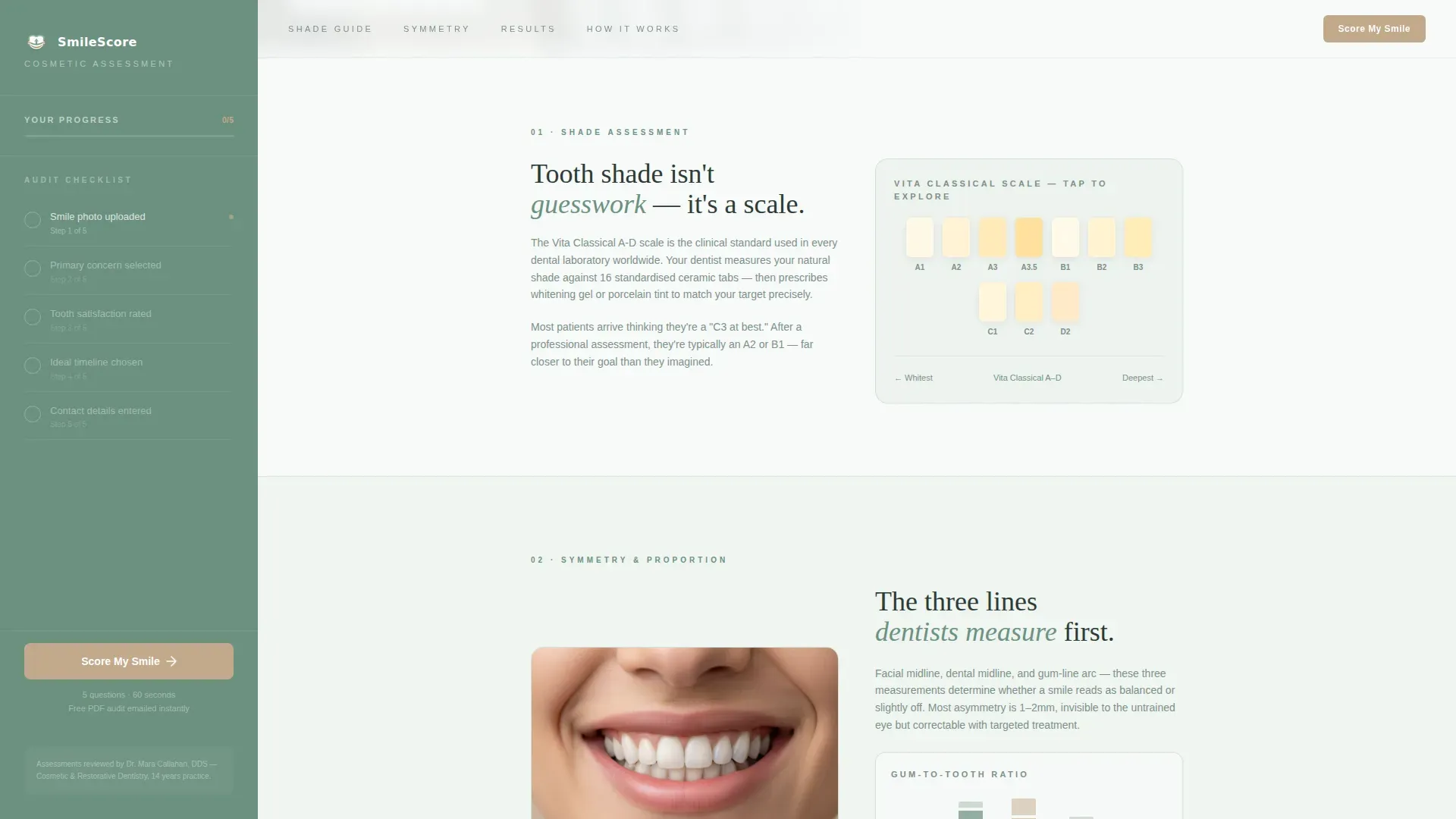 Smile Audit Landing page Template
