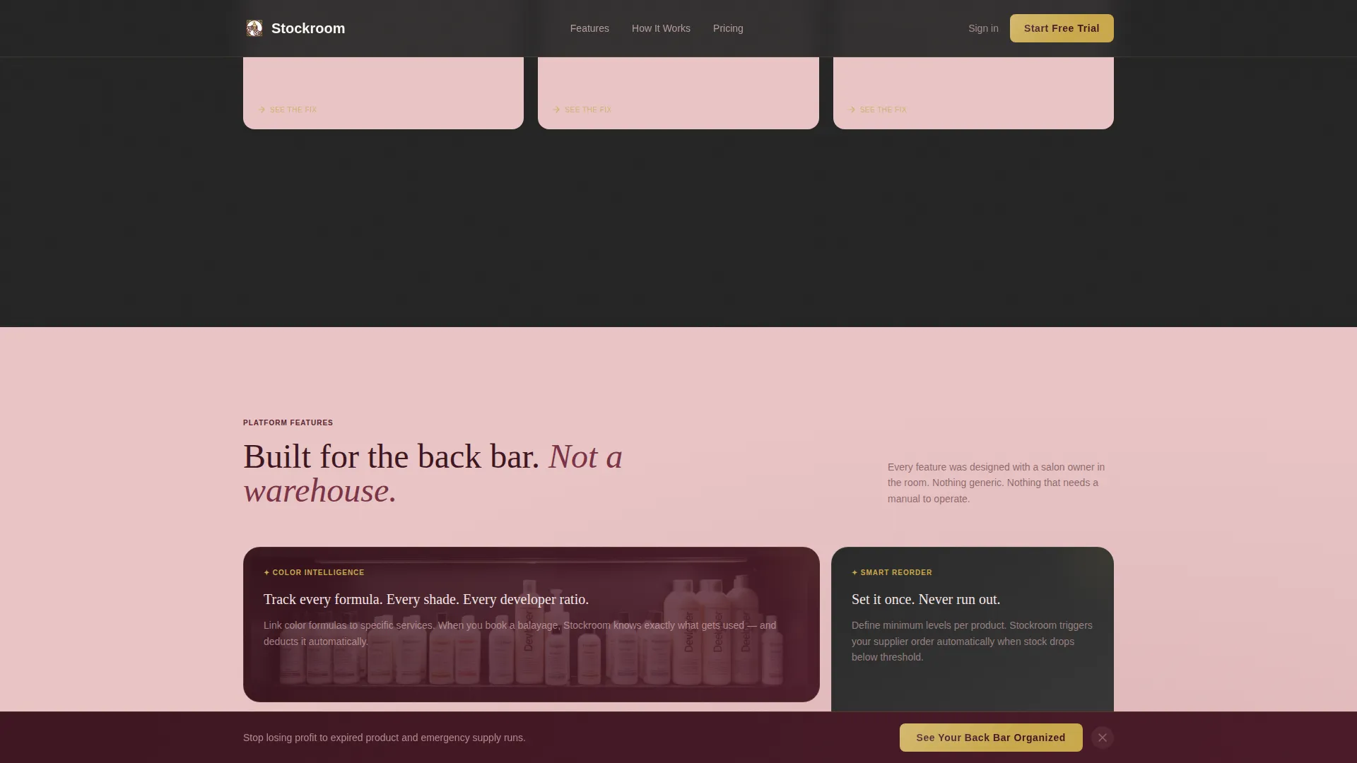 Salon & Spa Software Professional Website Template
