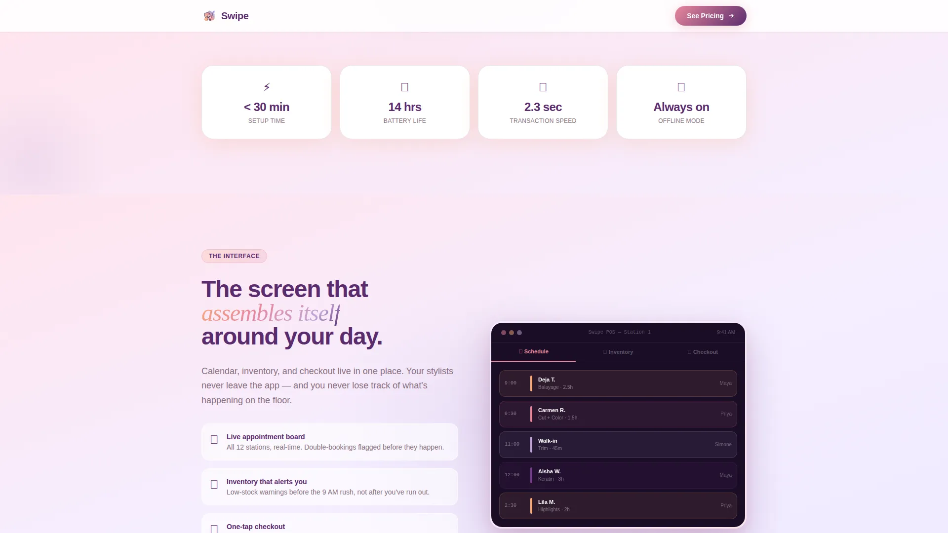 Salon & Spa Software Specialist Professional Website Template