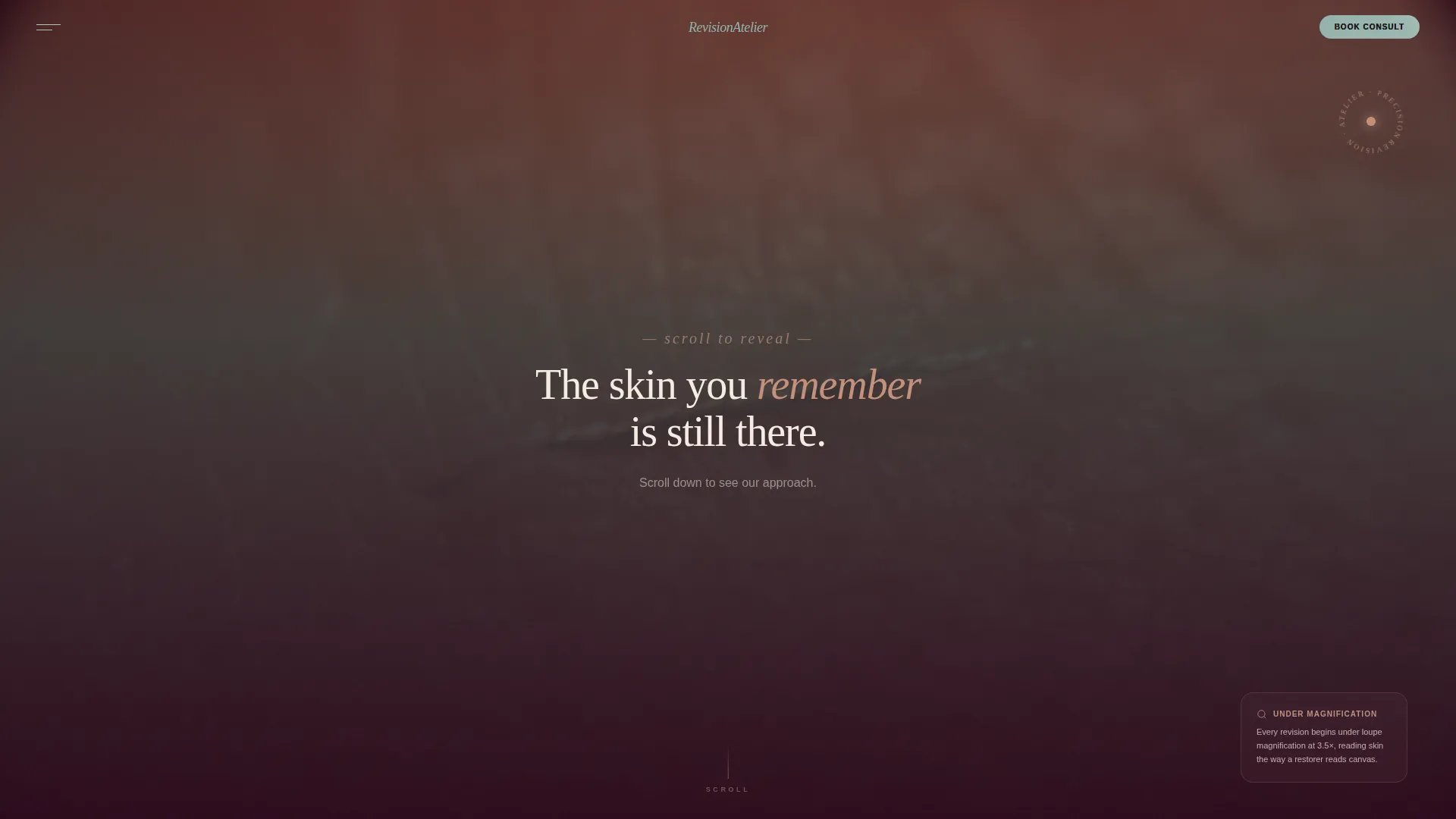 Cosmetic Surgery & Aesthetic Clinic Professional Website Template
