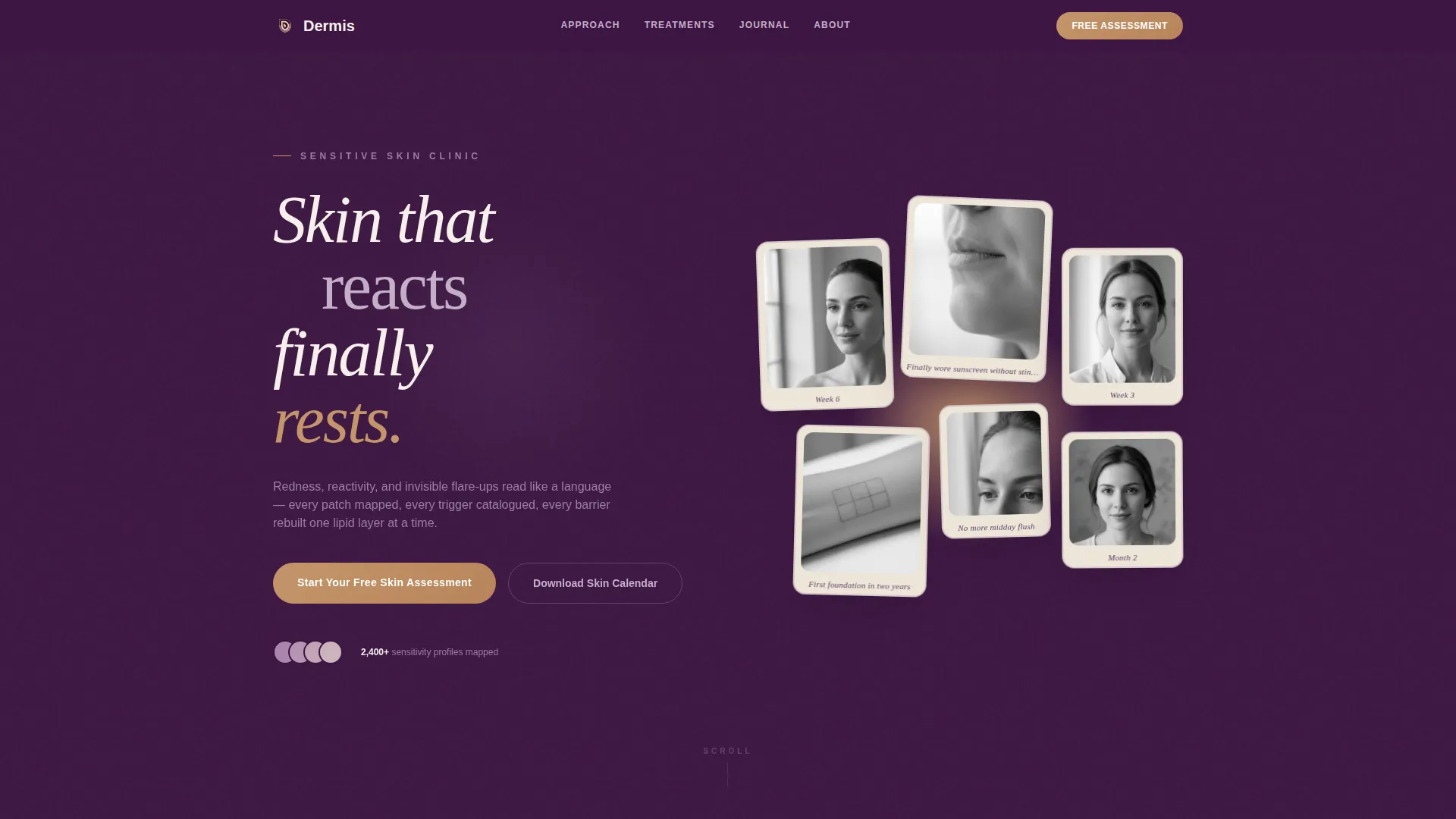 Sensitive Skin Beauty Booking Website Template