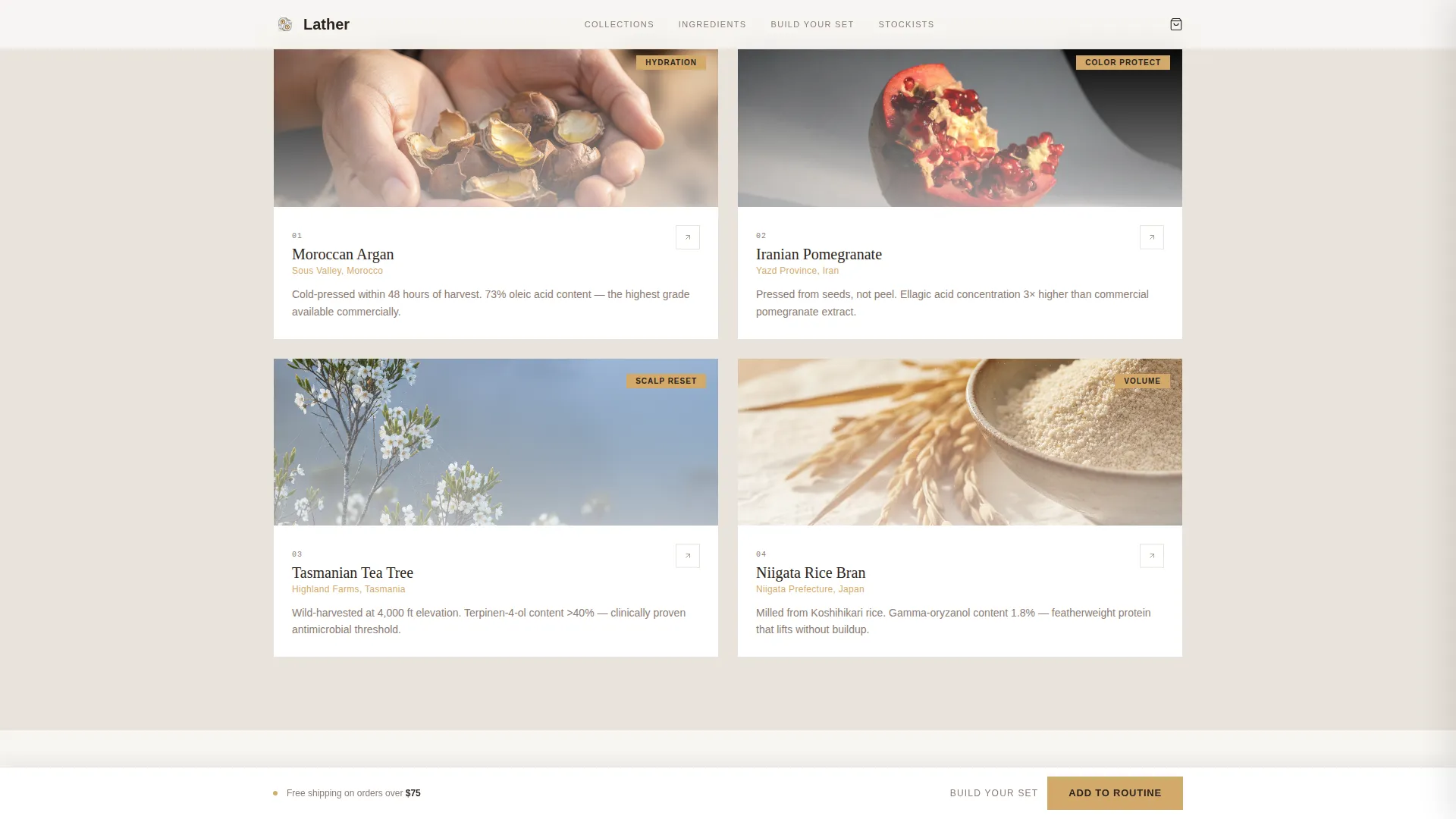 Hair Care Brand & Product Blog Website Template