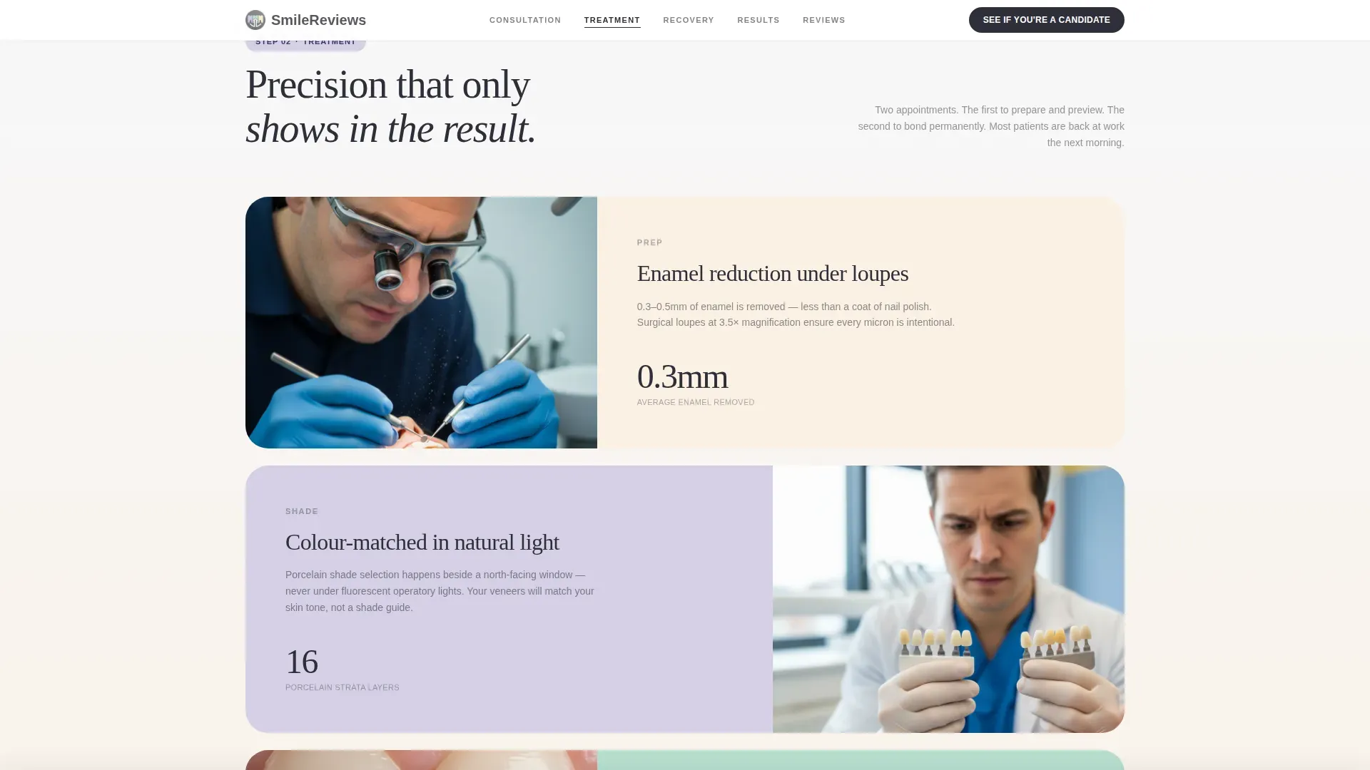 Veneer Services Landing page Template