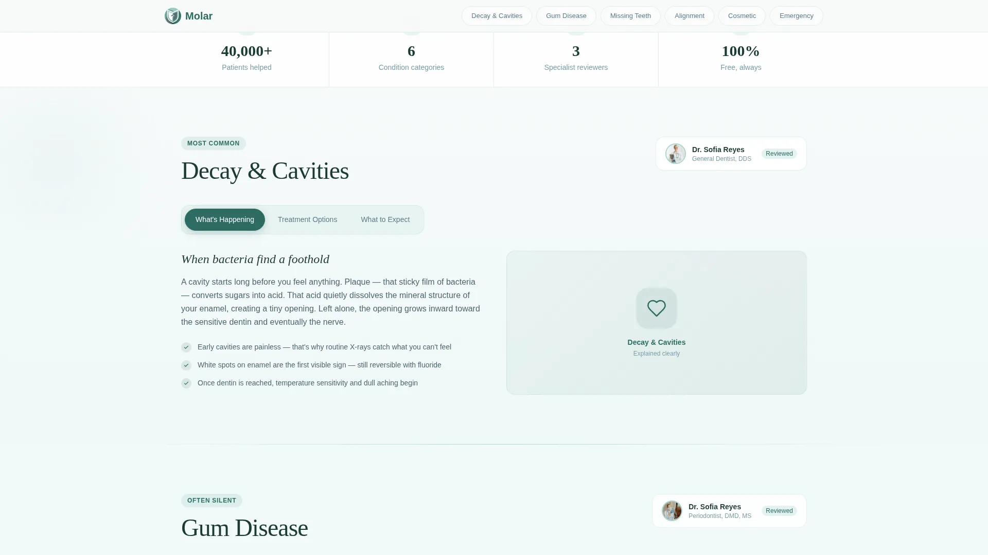 Dental Condition & Treatment Library Website Template