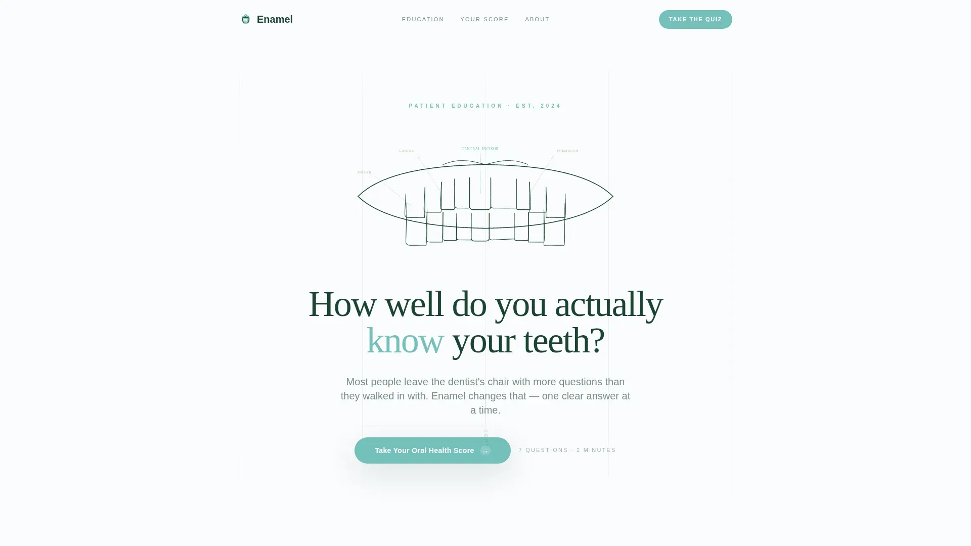 Dental Patient Education & Anxiety-Free Website Template