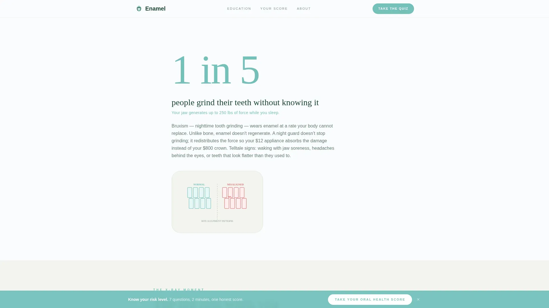 Dental Patient Education & Anxiety-Free Website Template