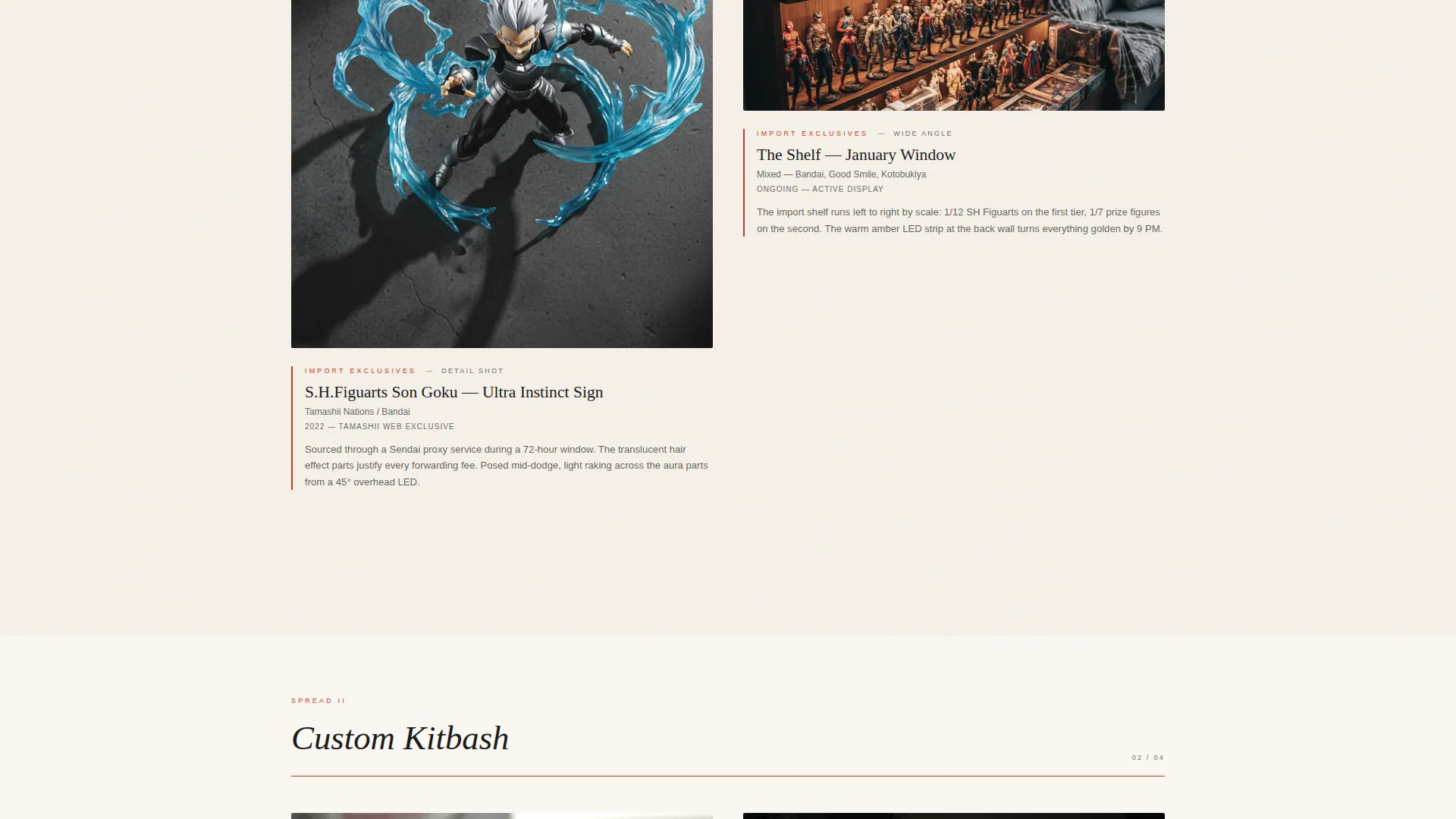 Curated Collector | Free Website Template | Rocket
