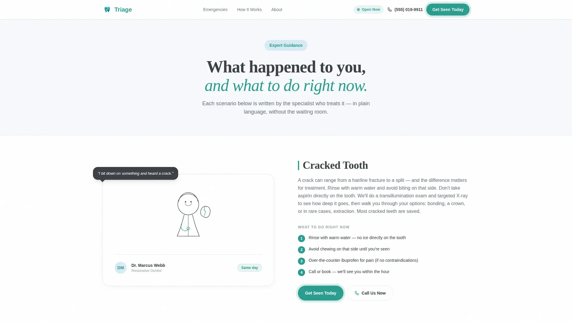 Emergency Dentist Advanced Booking Website Template