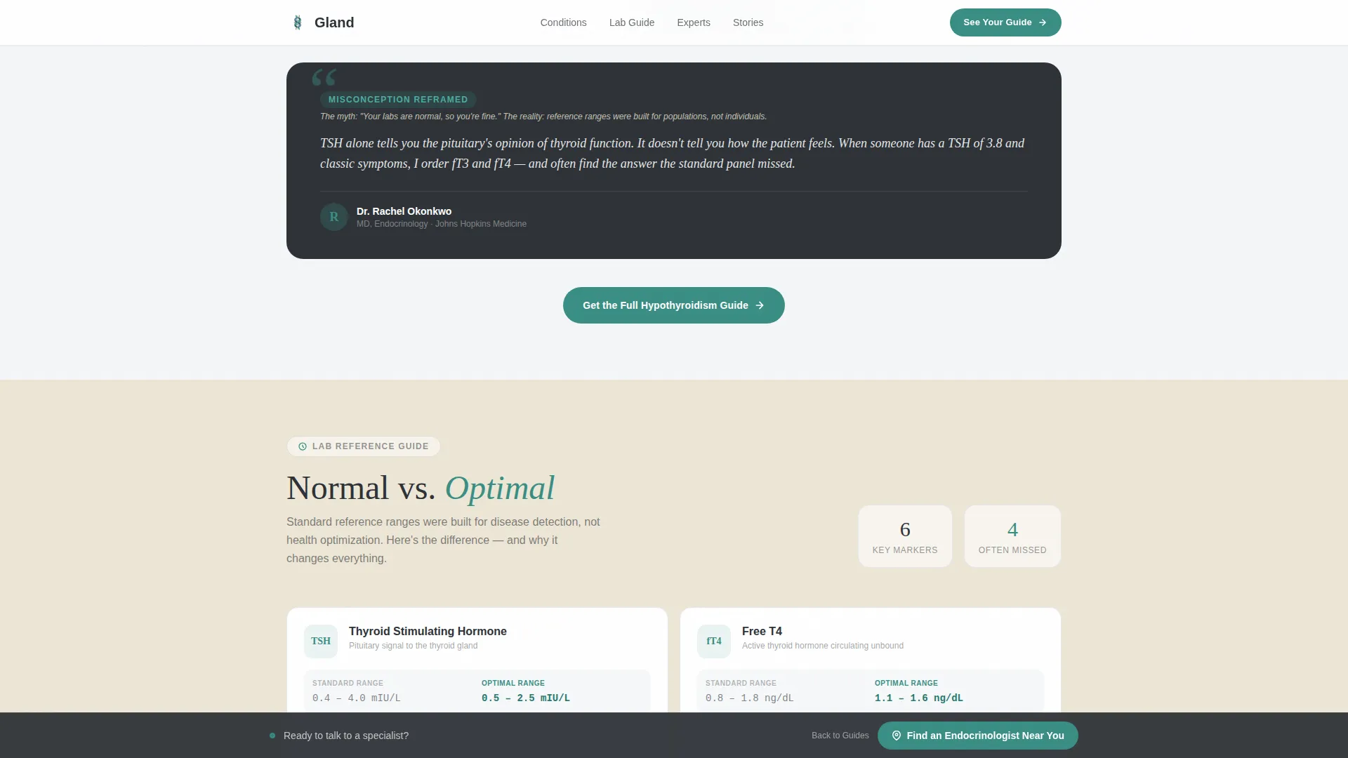 Endocrinologist Reviews Website Template