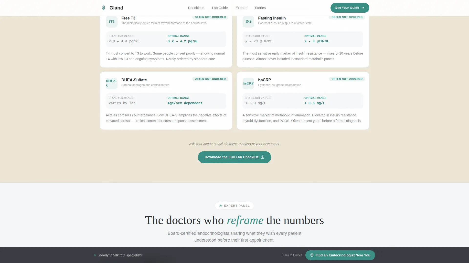 Endocrinologist Reviews Website Template