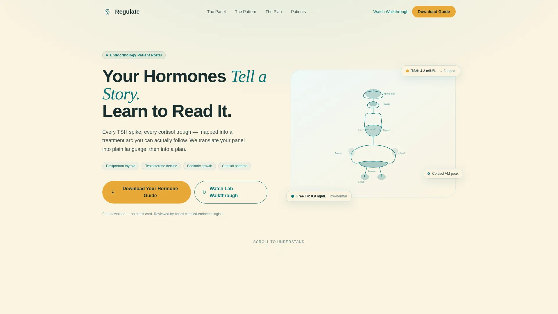 Endocrinologist Professional Website Template