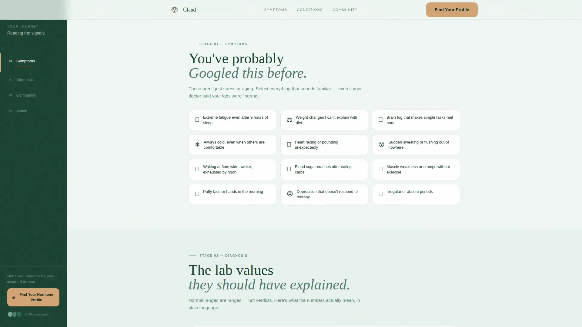 Endocrinology Medicine Specialist Professional Website Template