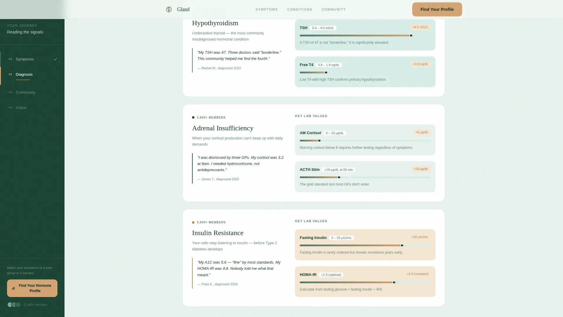 Endocrinology Medicine Specialist Professional Website Template