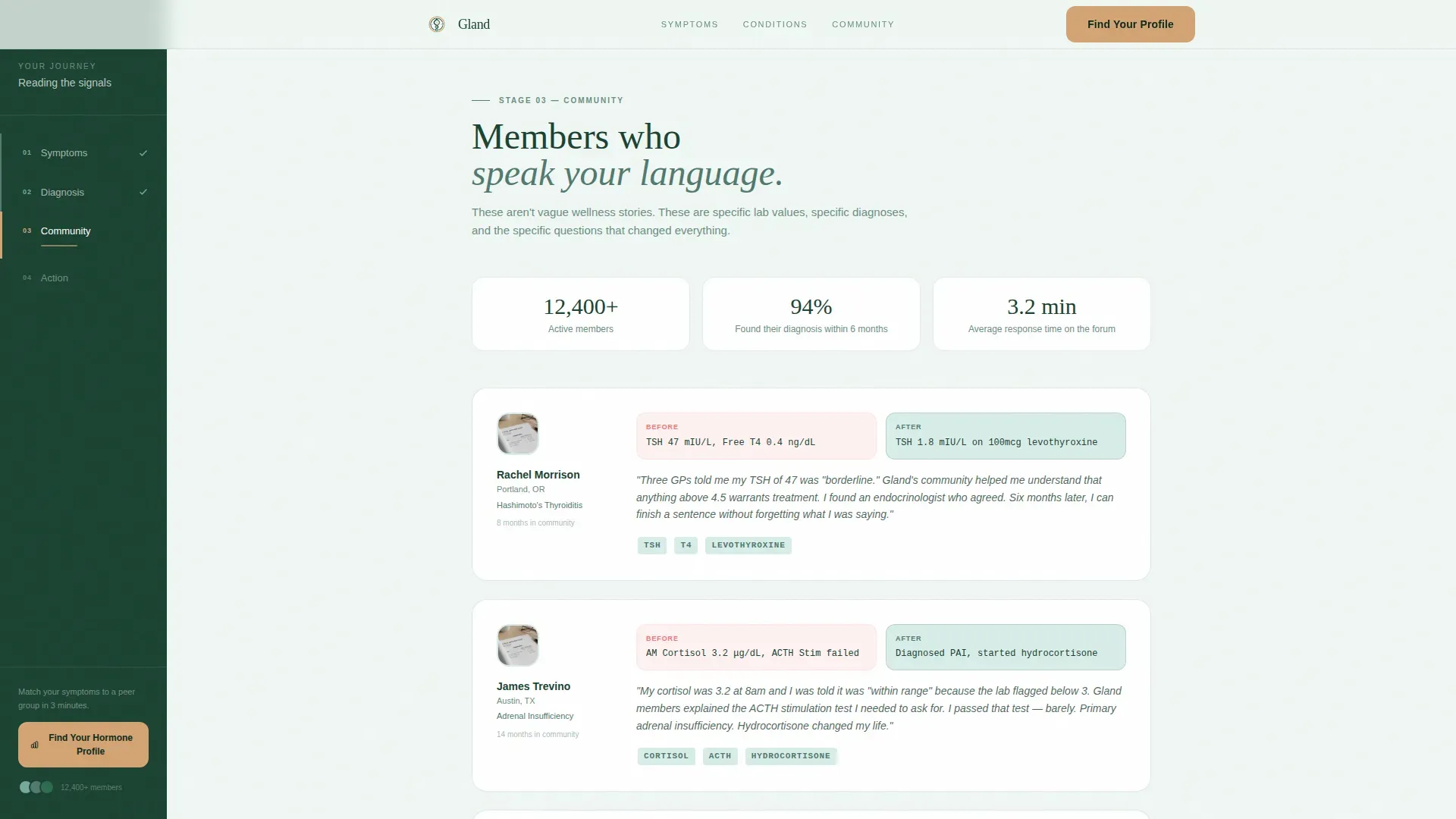Endocrinology Medicine Specialist Professional Website Template