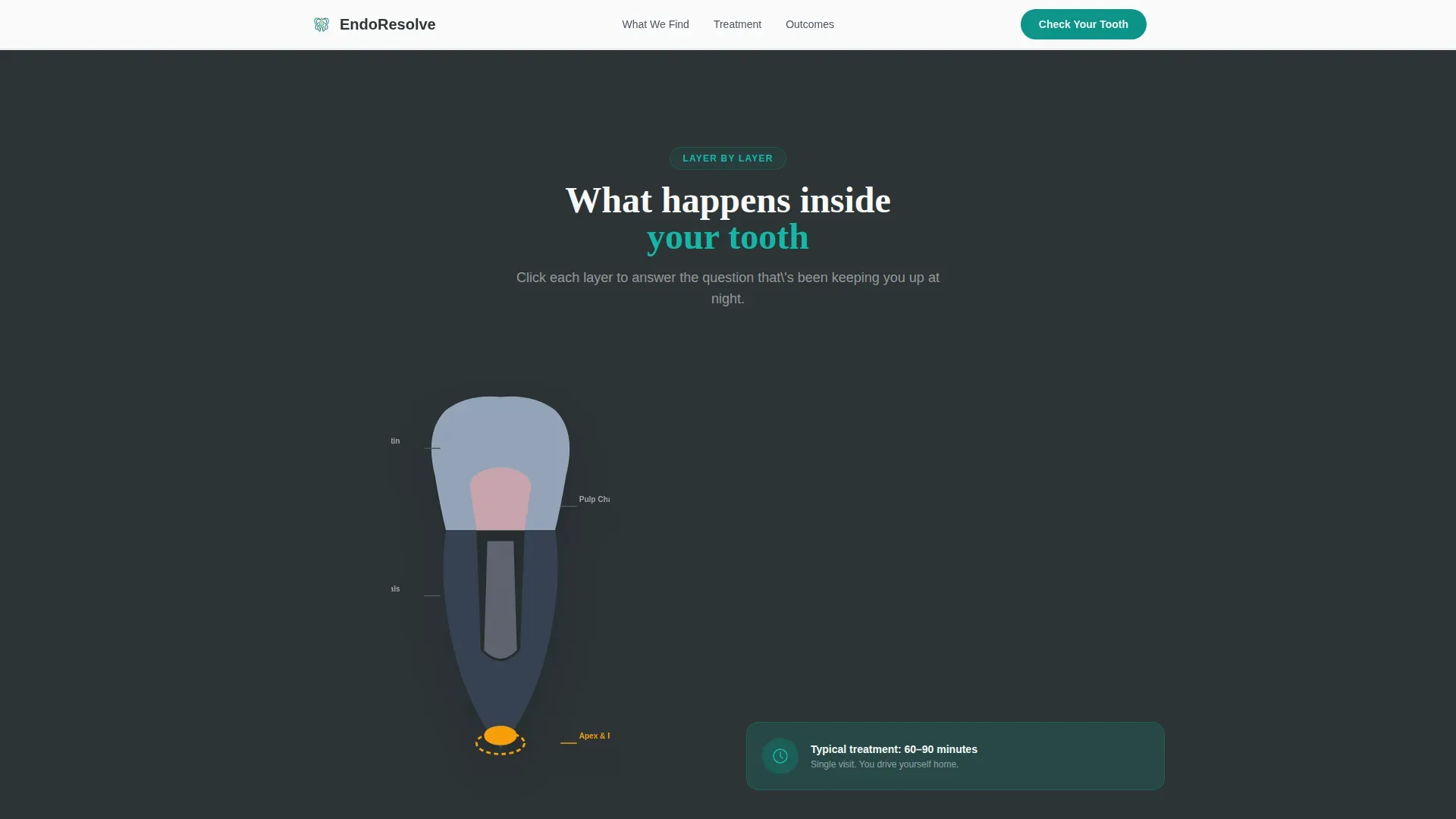 Endodontist Complete Booking Website Template