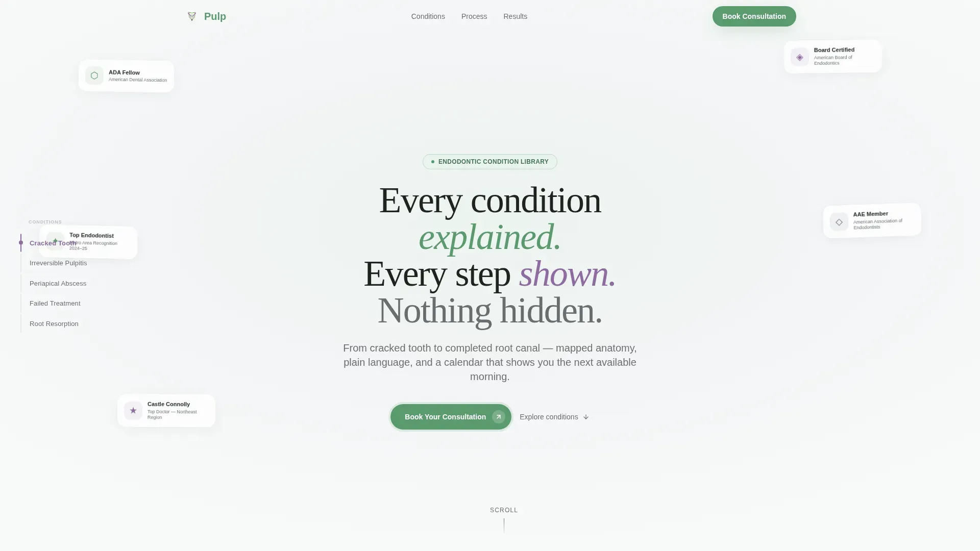 Endodontist Specialist Booking Website Template