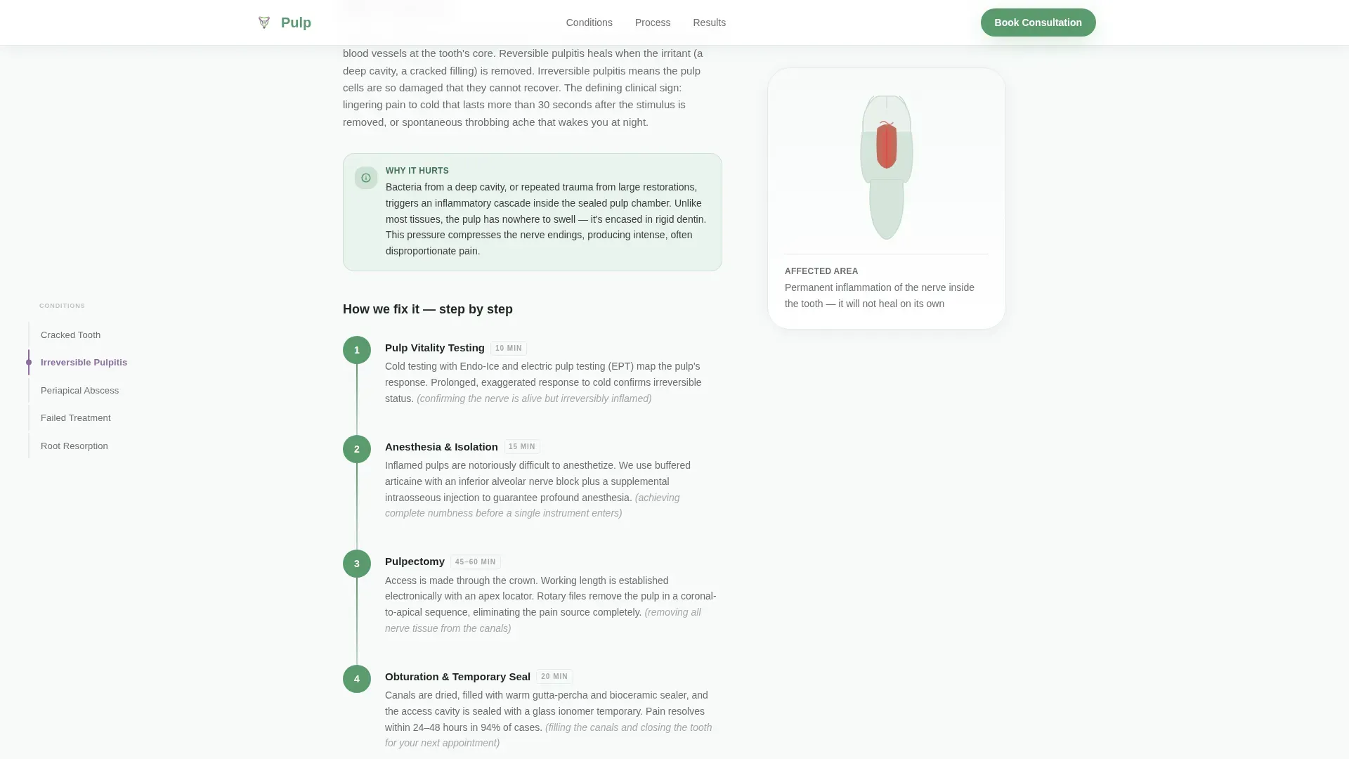 Endodontist Specialist Booking Website Template