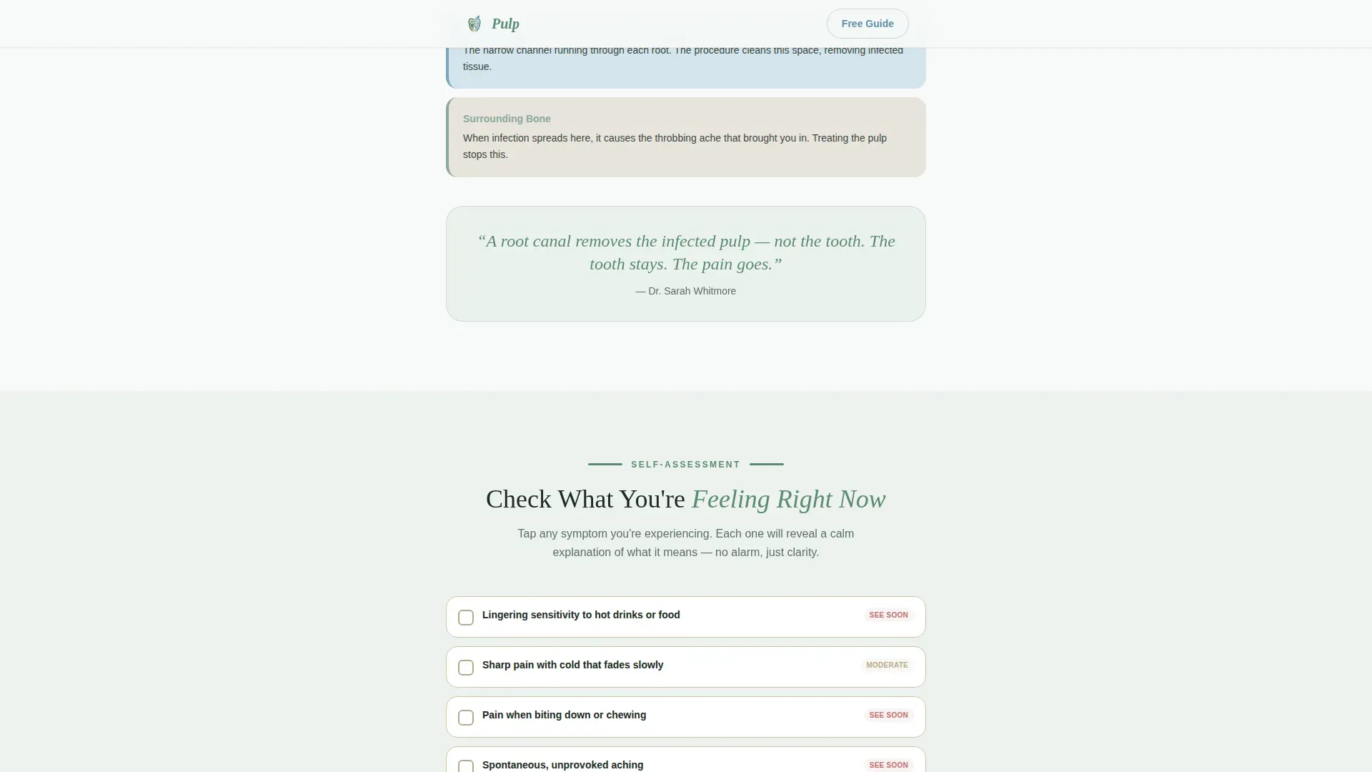 Endodontist Booking Website Template
