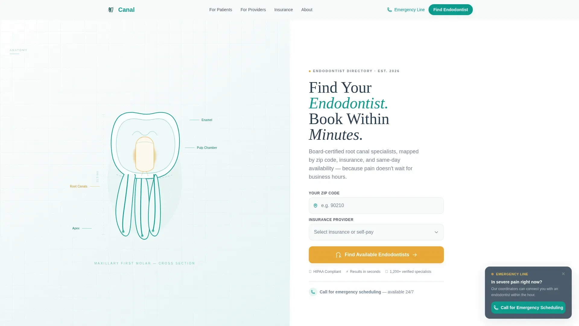Endodontist Advanced Booking Website Template