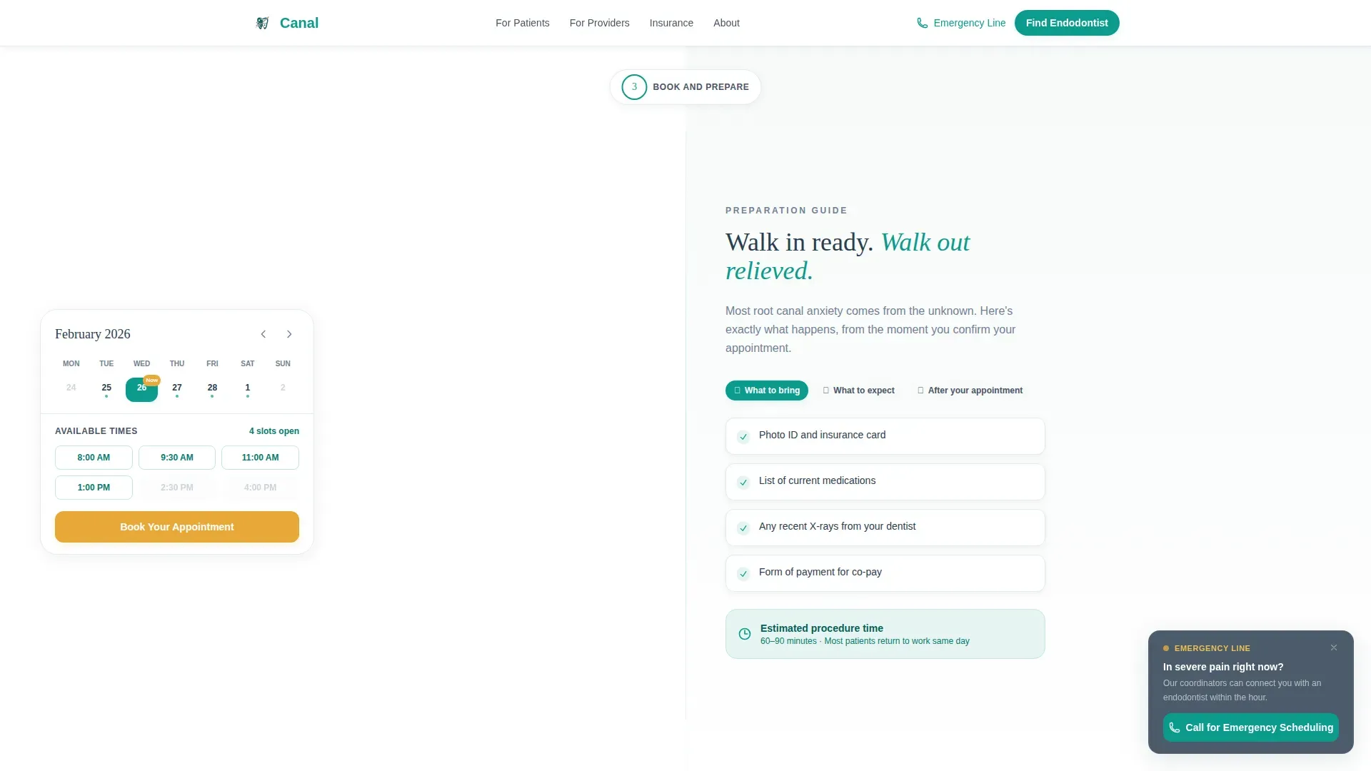 Endodontist Advanced Booking Website Template