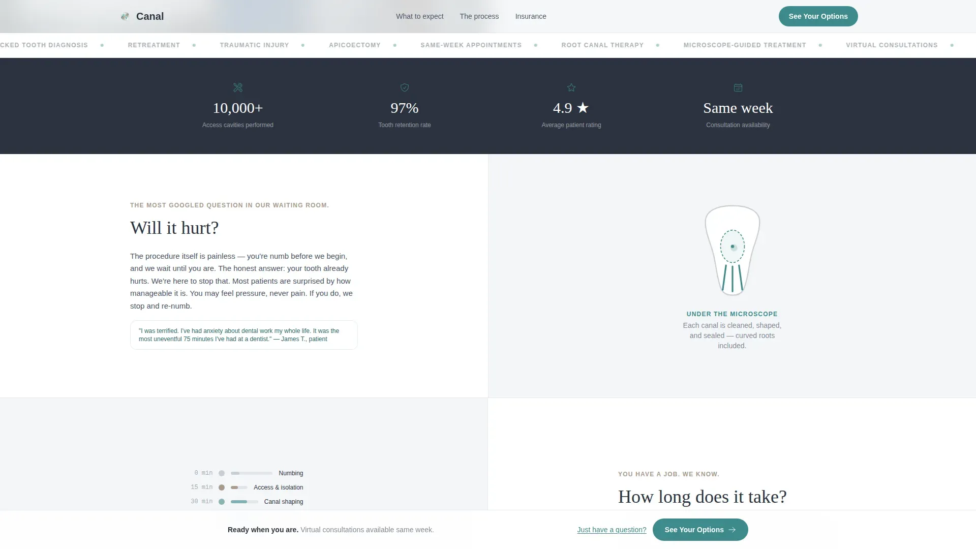 Endodontist Expert Booking Website Template