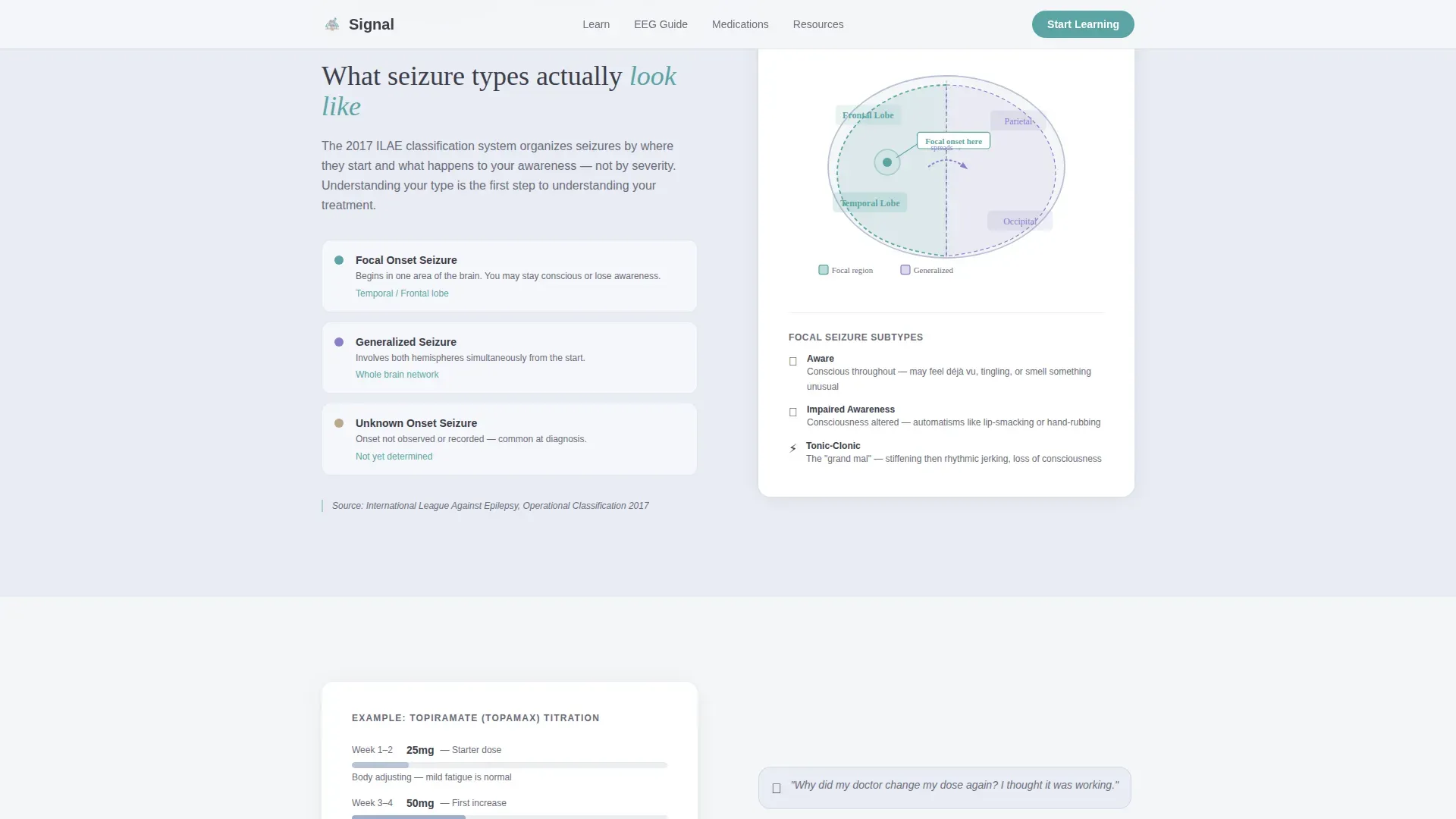 Epilepsy Care Education Website Template
