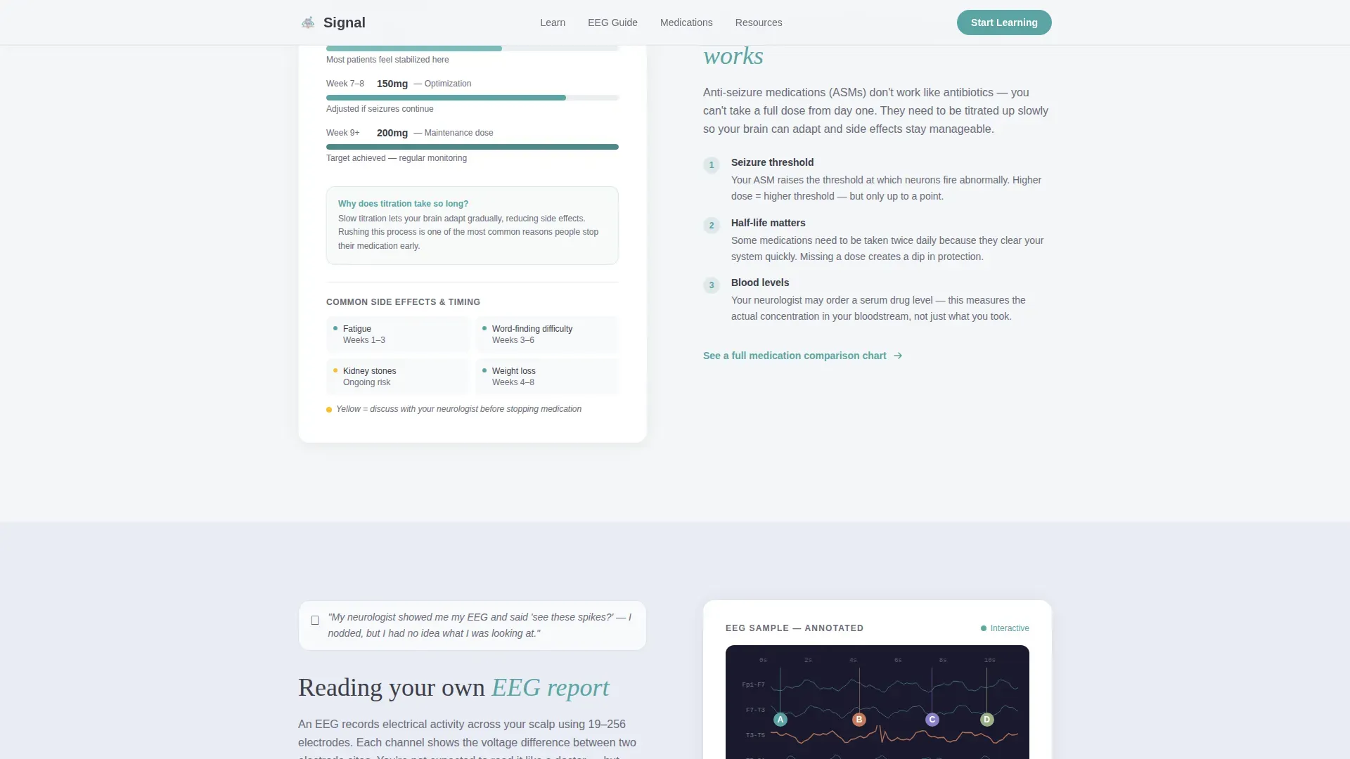 Epilepsy Care Education Website Template