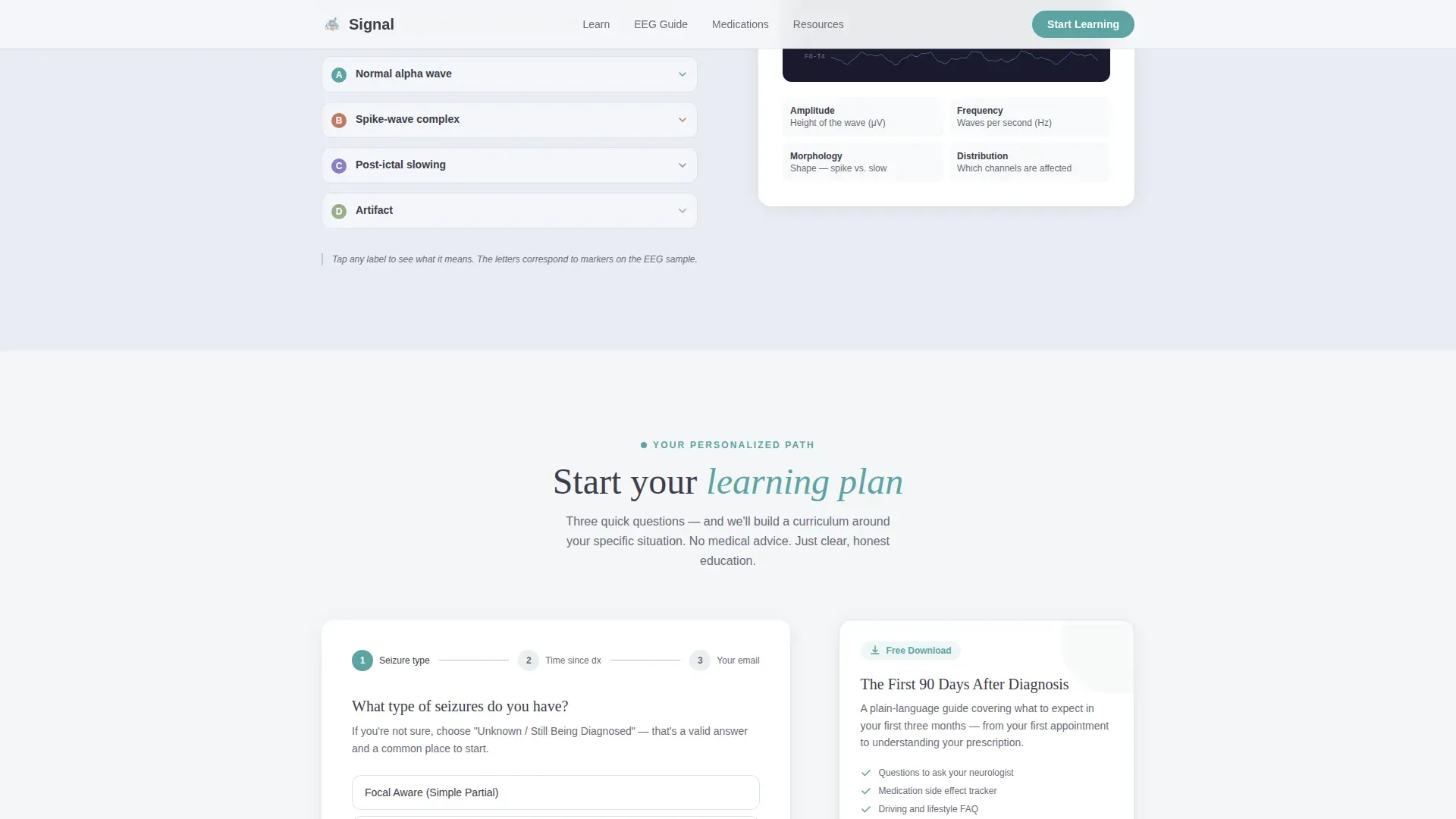 Epilepsy Care Education Website Template