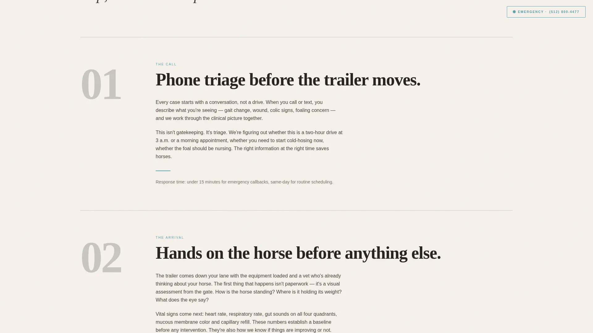 Veterinary & Animal Hospital Booking Website Template