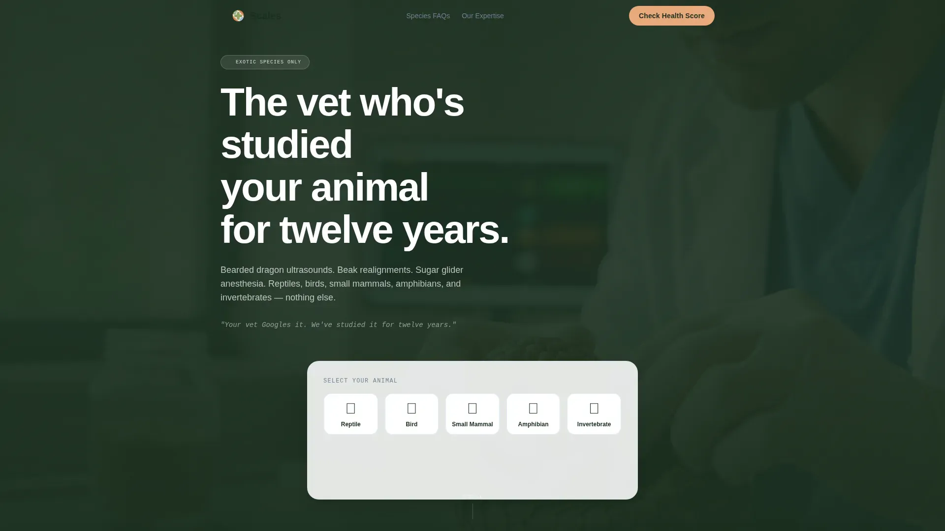 Veterinary & Animal Hospital Specialist Booking Website Template