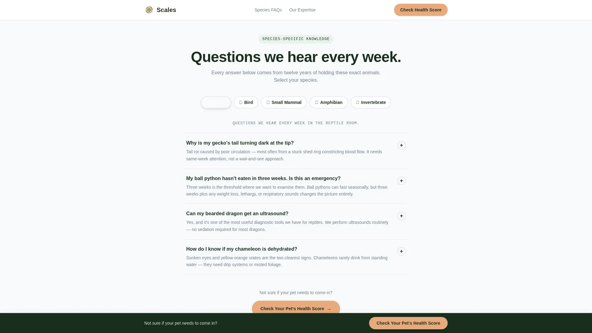 Veterinary & Animal Hospital Specialist Booking Website Template