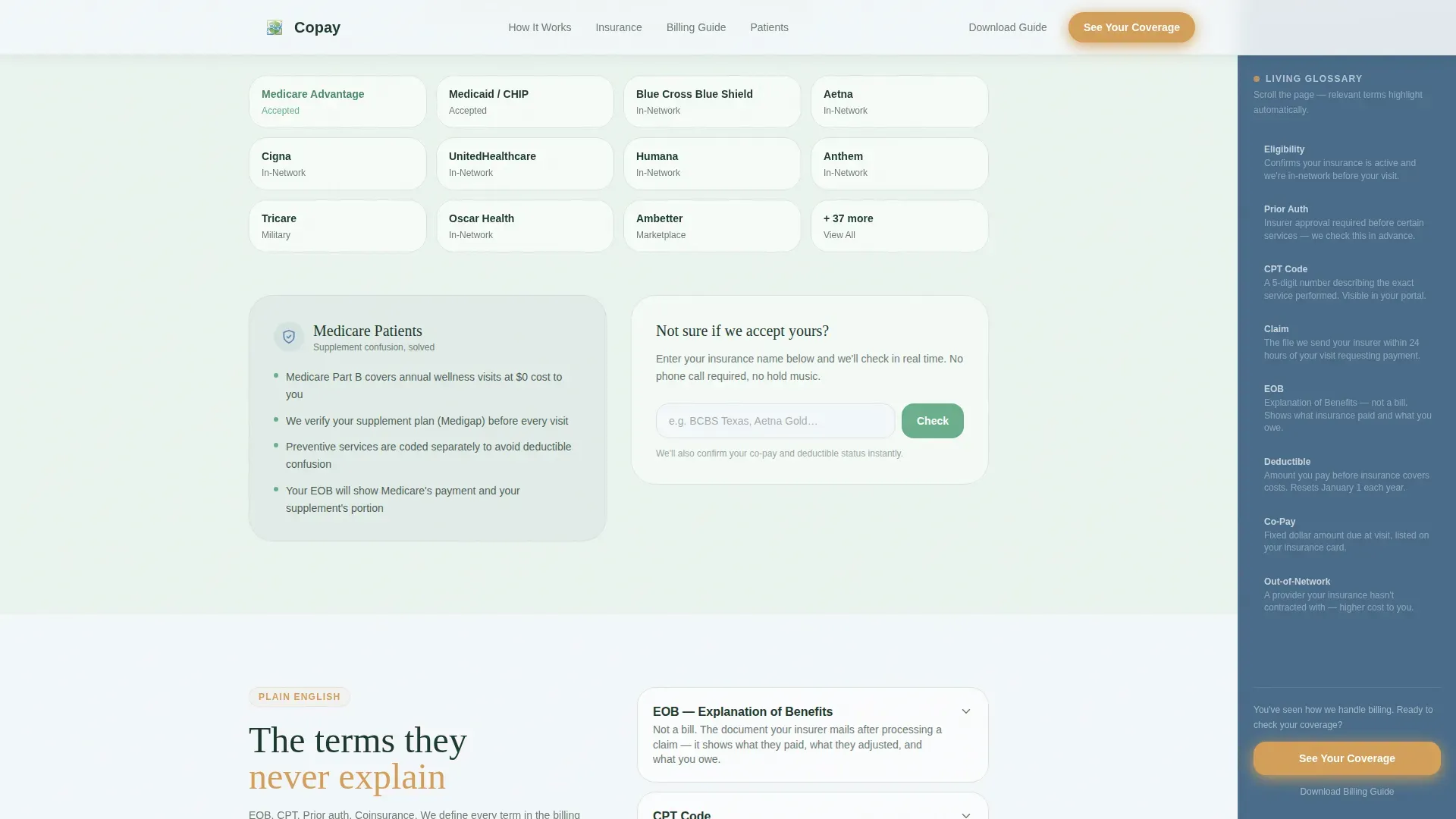 Family Doctor Booking Website Template