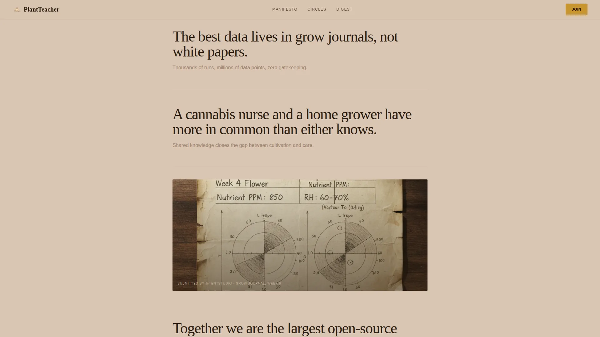 Cannabis Blog & Media Professional Website Template