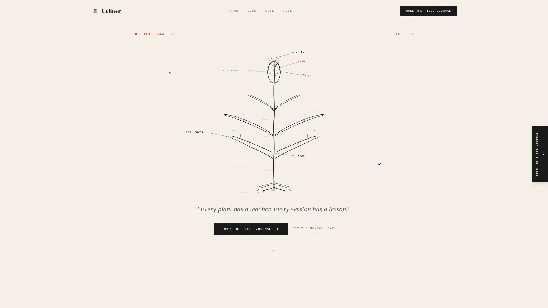 Cannabis Blog & Media Specialist Blog Website Template