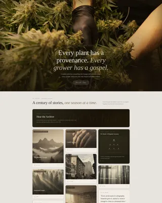 Cannabis Blog & Media Pre-Launch Website Template