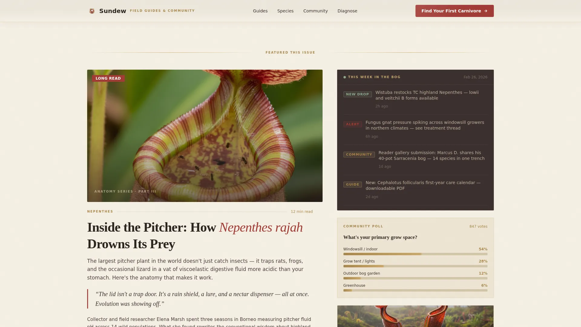 Hobby & Passion Content Online Blog Website Template